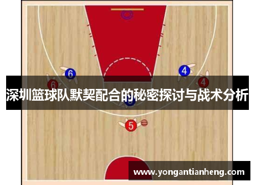 深圳篮球队默契配合的秘密探讨与战术分析